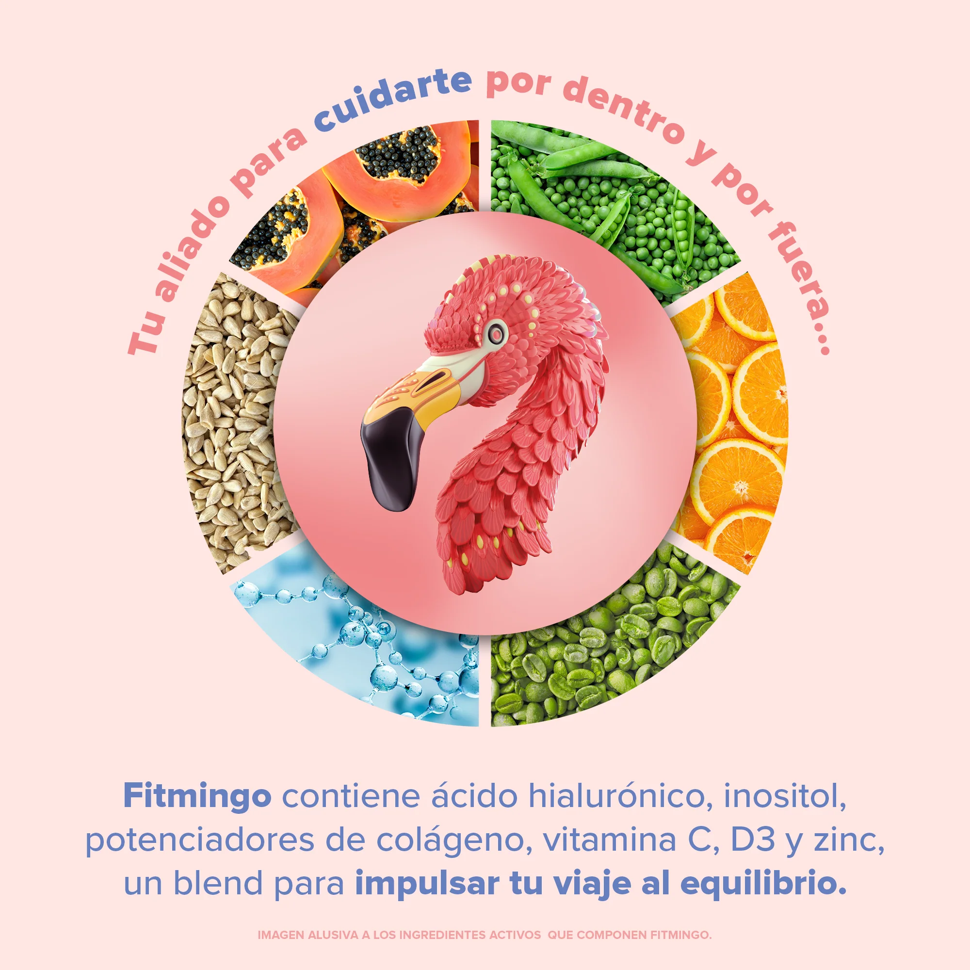 Imagen del producto 9