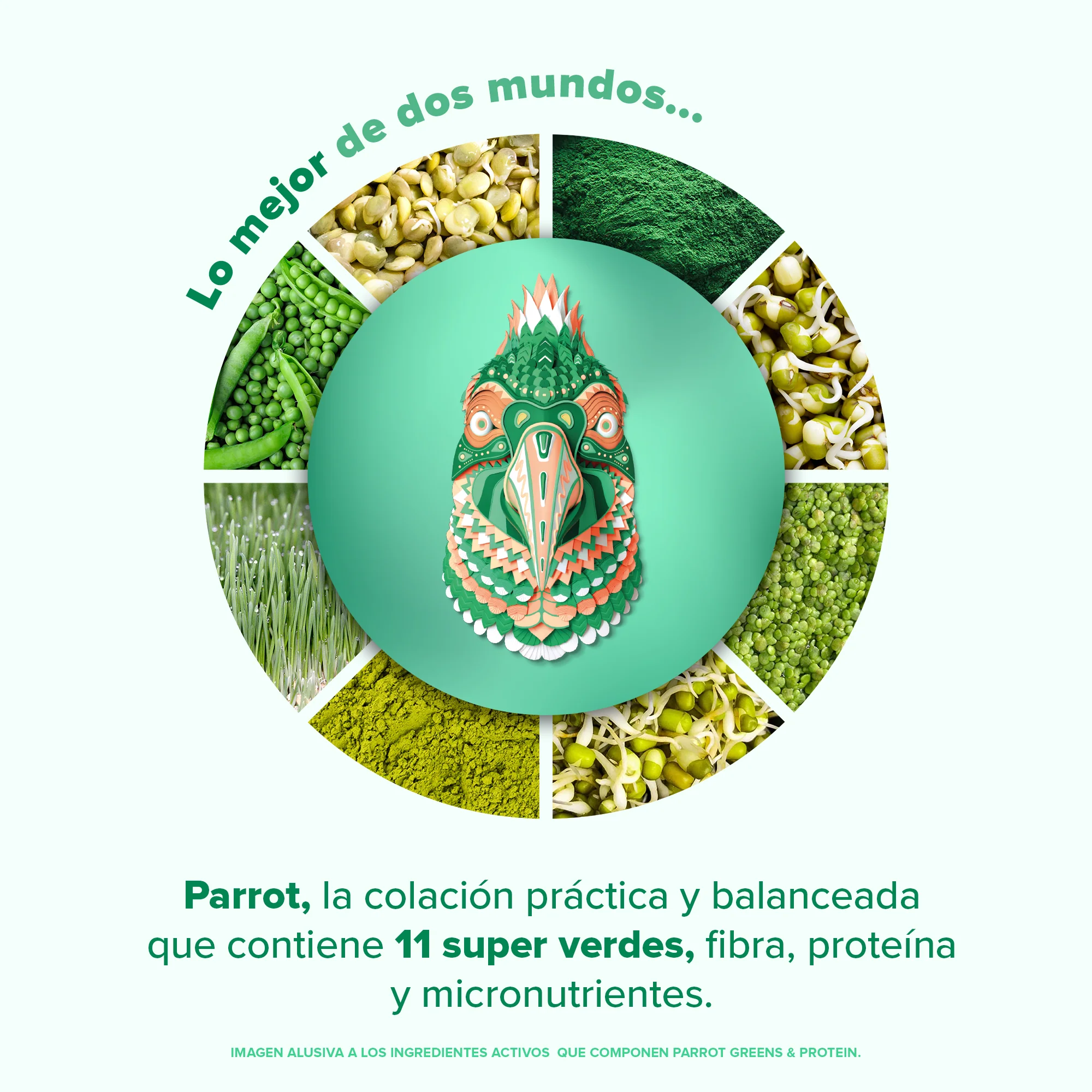 Imagen del producto 6