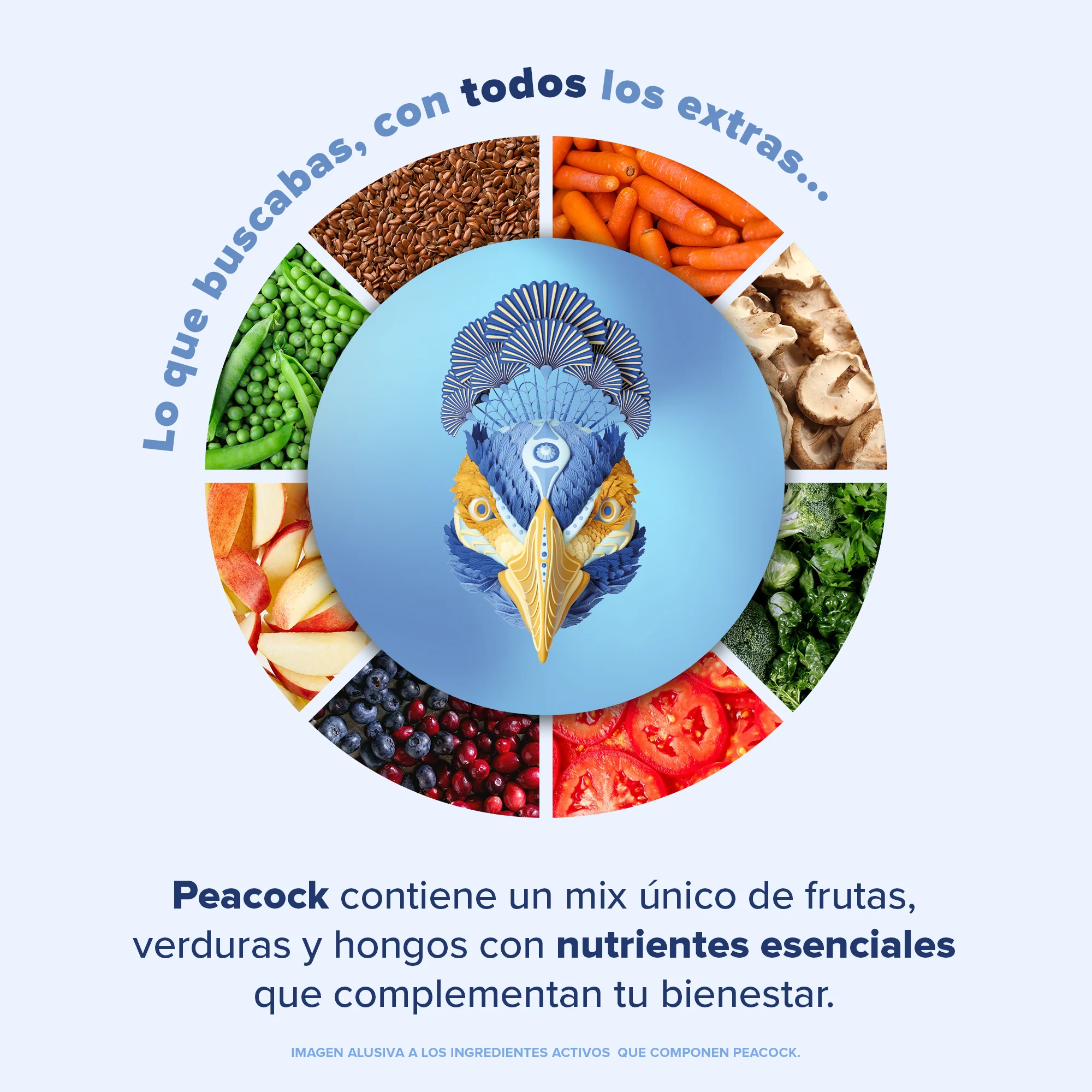 Imagen del producto 6
